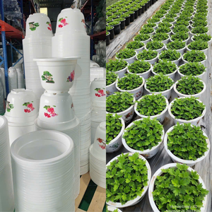 Macetas de Plástico Blancas con Estampados Florales para Plantas de Interior, Macetas Decorativas para Flores y Vegetación, Gran Venta - Product Image 6