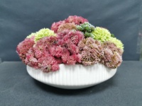 Pot de fleur en céramique blanche de 10 "avec support au milieu du siècle grands bols de jardinière succulente jardinières pour plantes d'intérieur