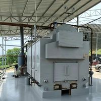 Chaudière à vapeur industrielle à faible consommation de charbon pour la transformation alimentaire. Haute efficacité, économie d'énergie, durable, stable. Température précise