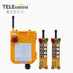 Telecrane uting cần cẩu F24-8s điều khiển từ xa Xe tải BƠM BÊ TÔNG với 2 máy phát và máy thu