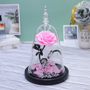 Cadeaux de <span class=keywords><strong>la</strong></span> fête des mères, cadeaux de remise de diplôme, <span class=keywords><strong>La</strong></span> <span class=keywords><strong>Belle</strong></span> <span class=keywords><strong>et</strong></span> <span class=keywords><strong>la</strong></span> Bête, <span class=keywords><strong>rose</strong></span> enchantée, fleurs réelles préservées au toucher réel dans un dôme en verre - Product Image 1