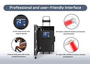 PEMF للخيول مع CE وشهادة طبية حقل كهرومغناطيسي نبض لجسم الحصان لتخفيف الألم - Product Image 5