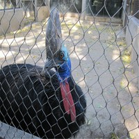 Clôture en treillis métallique flexible en acier inoxydable haute résistance, certifiée CE, surface oxydée noire personnalisée pour animaux de zoo