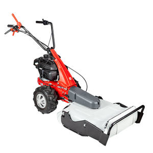 EUROSYSTEMS Grassland <b>Mower</b> "Classic" Minieffe With Reverse Engine OHV 200cc Working Width 53cm Gasoline <b>Lawn</b> <b>Mower</b> - Product Image 2