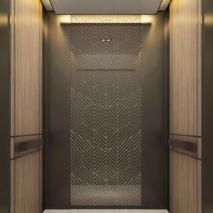 Ascensor Hidráulico para Viviendas, Fabricantes de Elevadores Hidráulicos para el Hogar de China, Elevador Interior Privado - Product Image 6