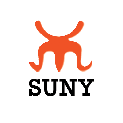 Shanghai Suny Auto Parts Co., Ltd. logo