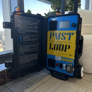 Machine de thérapie magnétique efficace Genwave Machine de thérapie magnétique Pemf Horse Pemf Pmst Loop Magneto Therapy Produit équin - Product Image 4