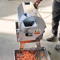 Multifunctionele Groentechopper En Snijder Groentefruitchips Snijmachine Roestvrijstalen Groentehakselaar