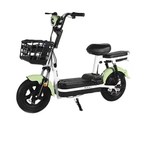 2023 Newest Style 12ah 18ah 20ah Lead Acid Lithium Battery 200w 250W 350w 450w Motor Pedal Assist Adult Rear Hub Motor electric