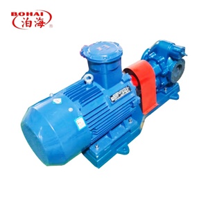 Pompa a ingranaggi per petrolio grezzo in acciaio inossidabile autolubrificante elettrica a bassa pressione 10hp con valvola limitatrice di pressione per diesel - Product Image 5