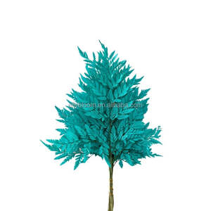 Foglie di <span class=keywords><strong>Felce</strong></span> Essiccate e Conservate Arachniodes, Vendita Diretta dalla Fabbrica dello Yunnan, per Decorazioni Floreali - Product Image 4