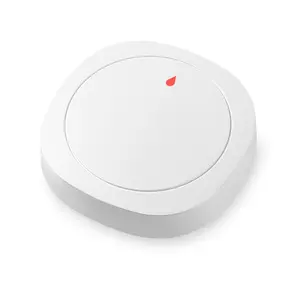 Z-Wave Underground Wireless Water Leak Detector Safety Sound Alarm Flood Sensor For Smart Home WiFi Water Leak Sensor