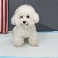 <strong>Best</strong> <strong>Sell</strong> Super Absorption Biodegradable Film Waterproof Bamboo Charcoal <strong>Dog</strong> Pet Training Pee <strong>Pads</strong>