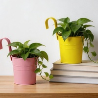 Petit pot à fleurs en fer forgé, jardinière suspendue, pots à plantes succulentes modulaires détachables à fixer au mur, panier suspendu de couleur bonbon