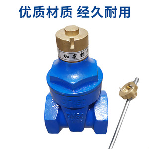Válvula de Compuerta de Hierro Fundido con Disco de Latón FNPT x FNPT, Válvula de Cierre de Agua de Una Sola Vía - Product Image 4