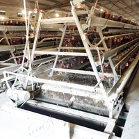 Nouvelle cage à poules pondeuses multifonctionnelle en acier galvanisé à chaud de type A avec garantie de 5 ans