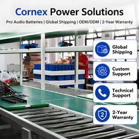 Cornex 120Ah Prizmatik LFP Pil Yüksek Deşarj Oranlı A Sınıfı Hücre Otomobil Ses Sistemi Güneş Enerjisi Yedek Güç Sistemi 4000 için
