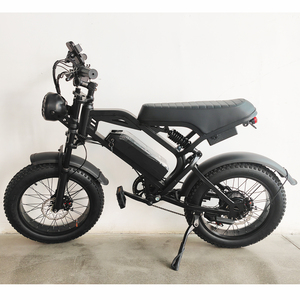 Bicicletas Eléctricas de Alto Rendimiento con Batería de Iones de Litio de 48V 500w 750w, Autonomía de 60 km, Modelo FW-F02 - Product Image 2