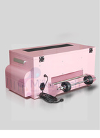 Millantech Cute Pink Professional Logo DTF Transfer Epson A3 Impresora Nueva condición Máquina de impresión por sublimación