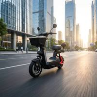 Moto électrique urbaine légère 800W 48V24Ah Lithium Double Siège 3 Vitesses 50km Autonomie Longue Portée 200kg Charge Lourde Frein à Tambour Avant et Arrière