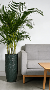 Pot de fleurs décoratif haut en céramique texturée vert foncé style américain, écologique et durable, avec trou de drainage, pour intérieur et extérieur - Product Image 2