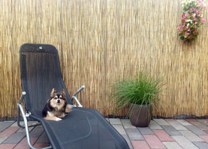 Trung Quốc Nhà cung cấp của tre tự nhiên hàng rào cuộn 3D an ninh hàng rào vườn trang trại Gỗ Ngoài Trời khung gỗ tự nhiên khung tre hàng rào - Product Image 3