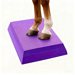 Özelleştirilebilir at denge pedi at istikrar terapi Yoga ped spor egzersiz at bakımı için yumuşak TPE yapılmış - Product Image 1