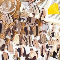 30 fogli di adesivi per animali domestici confezioni di materiale decorativo collage decorativo per ragazza romantica serie Zhi 4 modelli