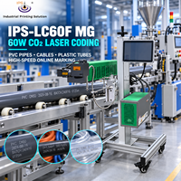 Machine de marquage au laser CO2 industrielle IPS-LC60F MG 60W pour tuyaux en PVC, câbles et tubes en plastique