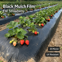 Film de paillage agricole noir en PE de haute qualité, 1,2 m x 400 m, 25 microns, résistant aux UV, pour les fermes de fraises et de légumes