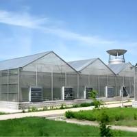 Factory <strong>Best</strong>-<strong>selling</strong>, Cost-effective Greenhouse Hydroponic <strong>System</strong> Suitable for Agriculture