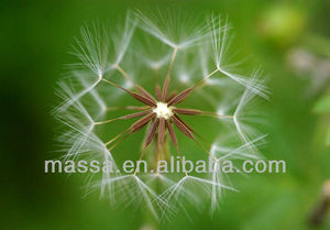 Massa อุปกรณ์ถ่ายภาพดิจิตอลอุปกรณ์เสริมกล้องออพติคอลกระจกเลนส์กล้อง67มม. เลนส์กล้องระยะใกล้ + ฟิลเตอร์1 + 2 + 4 + 8 + 10 - Product Image 5