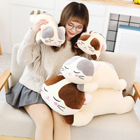 Boneka Kucing Plush OEM Berbobot Ringan dengan Desain Sensorik yang Menenangkan untuk Mengurangi Stres dan Grosir Mainan Hewan Peliharaan