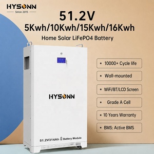 Hysonn 10KWh 15KWh 16KWh Lithium Battery 51.2V Wall-Mounted | Home Solar <b>Energy</b> <b>Storage</b> <b>System</b> IP55 BMS 10-Year Warranty - Product Image 1
