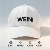 Cappellino da Baseball Vintage Personalizzato con Ricamo di Lusso, in Cotone Lavato a Righe, con Fibbia Regolabile in Rame Dorato, Design Logo OEM ODM