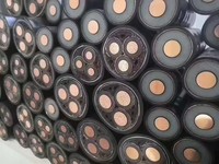 3-, 4-, 5-adriges 1,5mm 2,5mm Kupferkabel YJV YJV22 Stahlseil/Band Armiertes PVC/XLPE Untergrund-Stromkabel für Computeranwendungen
