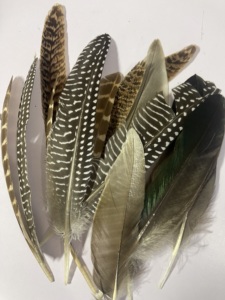 Tự nhiên 4 loại 12pcs Hot Bán chim trĩ lông danh mục đầu tư hat trang trí thủ công mỹ nghệ số lượng lớn chất lượng cao Gà lông - Product Image 6