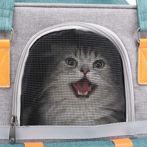 Canvas <b>Pet</b> <b>Carrier</b> Bag with Mesh Panel Breathable Design for Outdoor Use Small Size Fashion Style - Product Image 6