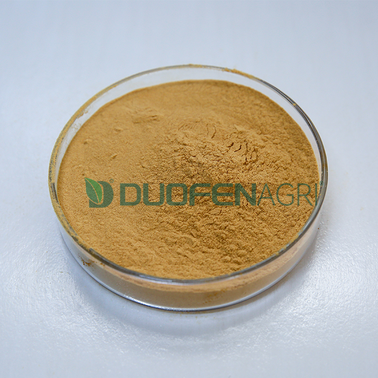 Wholesale Seaweed Powder Fertilizer for Hydroponics & Crops image 2