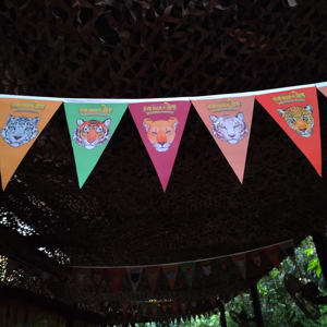 Customizable Outdoor Advertising Felt Pennant Flag Personalized Flying Triangle Banderole Banner for Events