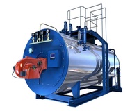 Chaudière à vapeur à gaz/chaudière à eau chaude à gaz/réchaud à gaz pour usage industriel, 1, 2, 5, 8 tonnes