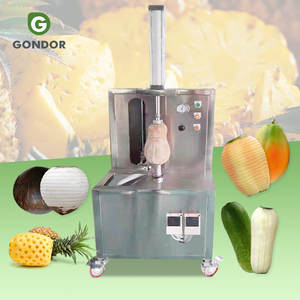 Máquina Peladora Automática y Manual para Coco, Papaya, Mango, Melón, Piña, Calabaza y Sandía - Product Image 1