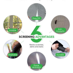Hot Selling Modern Anti-theft Window <b>Screen</b> Polyester Insect <b>Screen</b> with Washable Feature and Easy Installation 2-Year Warranty - Product Image 4