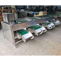 Automatische mandarijn sorteermachine, tomaat- en persimmon sorteermachine prijs