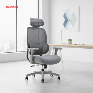 Meilleur Fauteuil Ergonomique Commercial Moderne Réglable Multifonctionnel à Dossier Haut Confortable avec Rotation à 360° en Maille Relaxante <span class=keywords><strong>Ergohuman</strong></span> - Product Image 1
