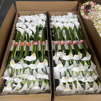 Heiß begehrte, echt anfühlende weiße Calla-Lilie, künstliche Blume mit langem Stiel für Hochzeitsdekoration, Brautstrauß