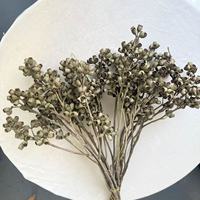 Decoratieve natuurlijke gedroogde eucalyptus takken met zombievruchten, droge peulen, boeket voor bloemstukken, DIY knutselmateriaal