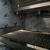 Tunnel de congélation rapide pour glaces à la banane