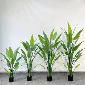 Conception artificielle de simulation de bananier en fibre de verre et feuilles et arbustes d'herbe PE pour le bureau pour les hôtels - Product Image 5