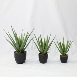 Plantas Artificiales <span class=keywords><strong>de</strong></span> Aloe <span class=keywords><strong>Vera</strong></span> al por Mayor, Plantas Suculentas en Maceta para Decoración <span class=keywords><strong>de</strong></span> Interiores - Product Image 1